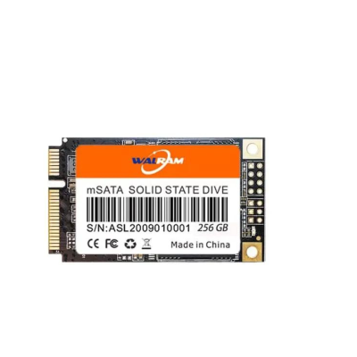 Msata 256GB SSD