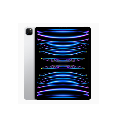 iPad Pro 11 (2022) 4TH Generation WiFi