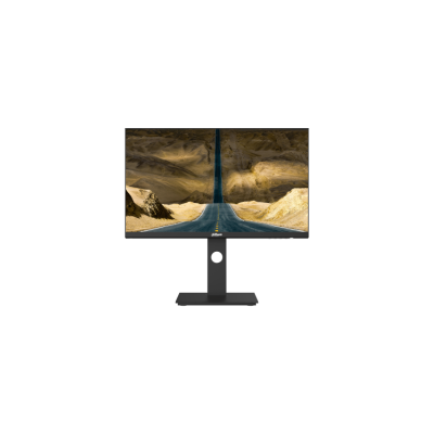 Dahua 24-Inch LM24 QHD 75Hz P301A TFT