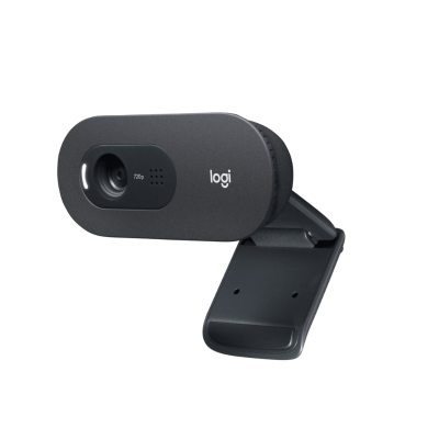 Logitech C505 HD Webcam with Long Range Microphone